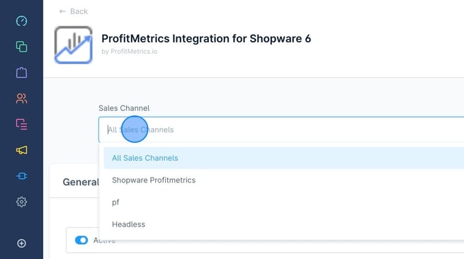 Configuring All Sales Channels in Shopware Profitmetrics - Step 11