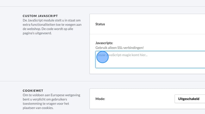 Edit Javascripts and Tracking Code in Website Settings - Step 7