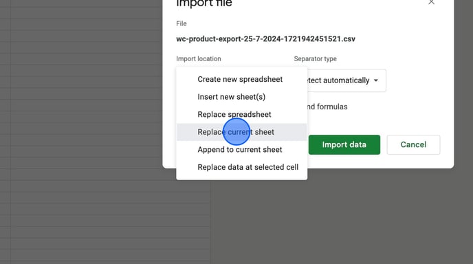 Guide to Importing and Exporting Data in Google Sheets - Step 7