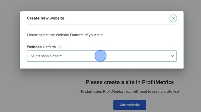 How to Add your first Websites to ProfitMetrics - Step 3